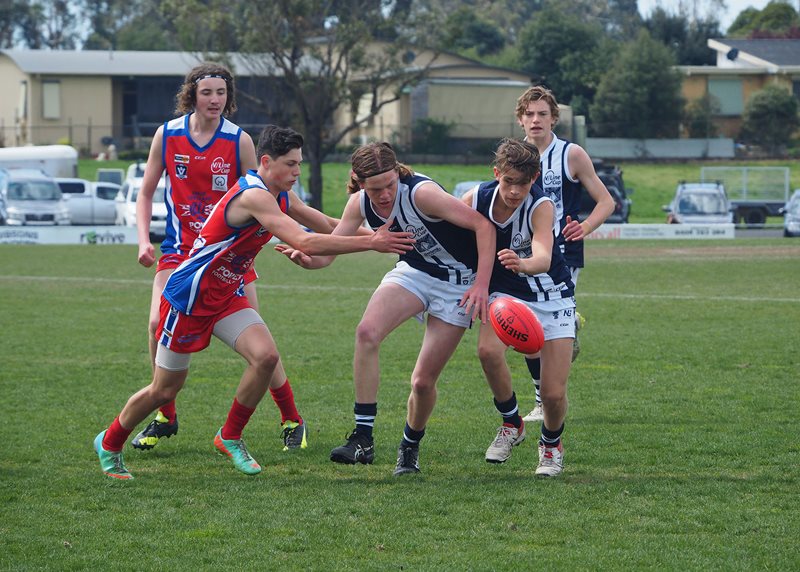 Boys-Div-2-Falcons-v-Power-Vline-Cup-2017-(By-Jodie-Harlow)-(23)