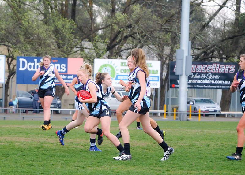 Girls-Falcons-v-Yarra-Valley-Vline-Cup-2017-(By-Jodie-Harlow)-(14)