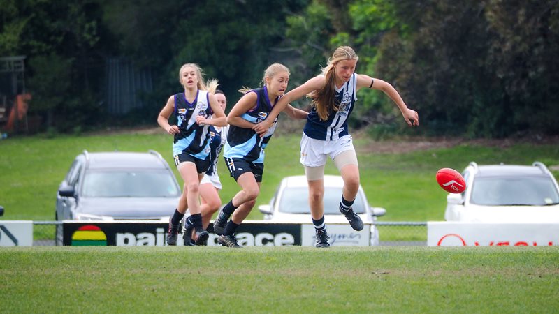 Girls-Falcons-v-Yarra-Valley-Vline-Cup-2017-(By-Jodie-Harlow)-(31)
