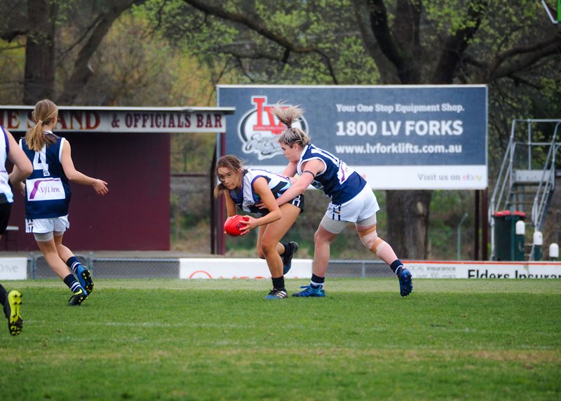 Girls-Falcons-v-Yarra-Valley-Vline-Cup-2017-(By-Jodie-Harlow)-(22)